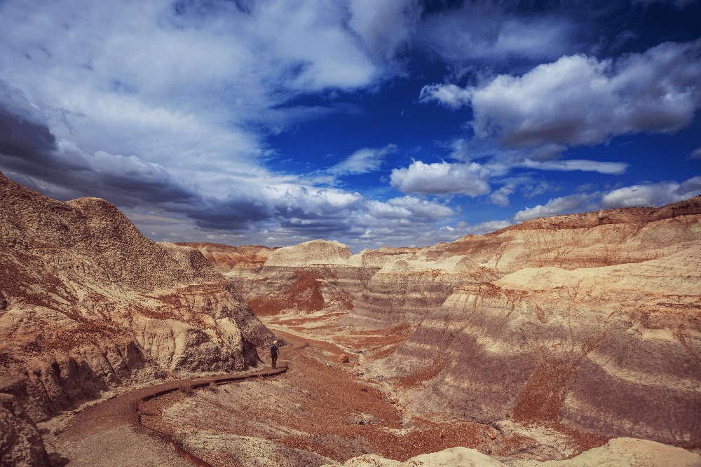 Painted Desert and Petrified Forest, ARI